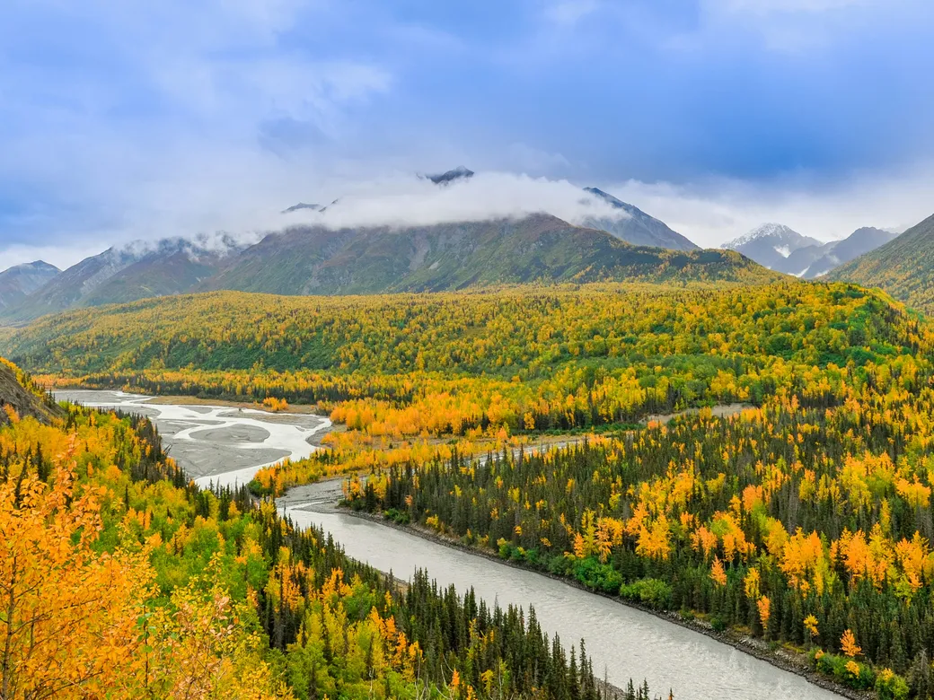 Autumn forest, braided river, and cloud-covered mountains in Alaska